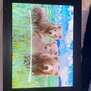 3D Framed Moving Bear Nature Scene Wall-Art